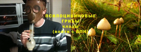 бошки Балахна