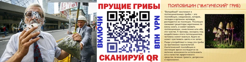 Псилоцибиновые грибы мицелий  Макарьев 